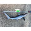 Image 4 : *New* Reproduction SAND SHARK Fish Mount