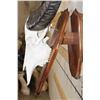 Image 9 : WATER BUFFALO Skull on a Wood Wall Pedestal