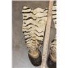 Image 3 : (4) ZEBRA Hooves with attached Leg Hide (ONE$)