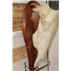 Image 4 : Big Heavy Horned RED HARTEBEEST Skull on a Wooden Plaque