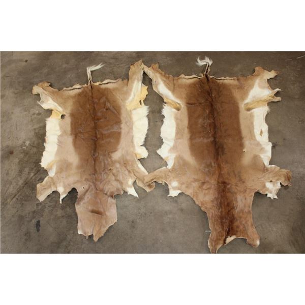 (2) IMPALA Hides (ONE$)