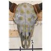 Image 5 : Painted and embellished BISON Skull