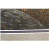 Image 11 : (2) Large Art Prints, "Hart Mountain Majesty" by Brent R. Todd and a signed Tom Mansanarez Framed