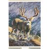 Image 4 : (2) Large Art Prints, "Hart Mountain Majesty" by Brent R. Todd and a signed Tom Mansanarez Framed