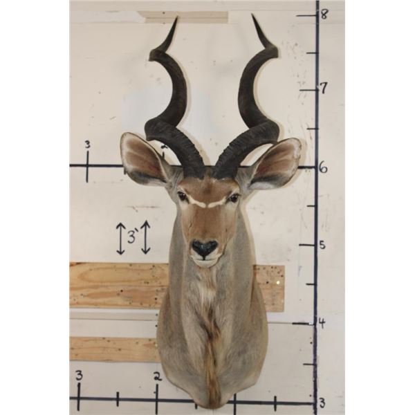 KUDU Shoulder Mount
