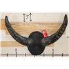Image 2 : Big Mounted WATER BUFFALO Horns