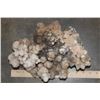 Image 9 : Natural or Raw ARAGONITE and CALCITE Crystal