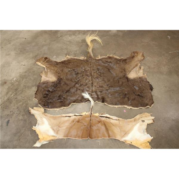 (1) BLACK WILDEBEEST Back Hide and (1) IMPALA Back Hide (ONE$)