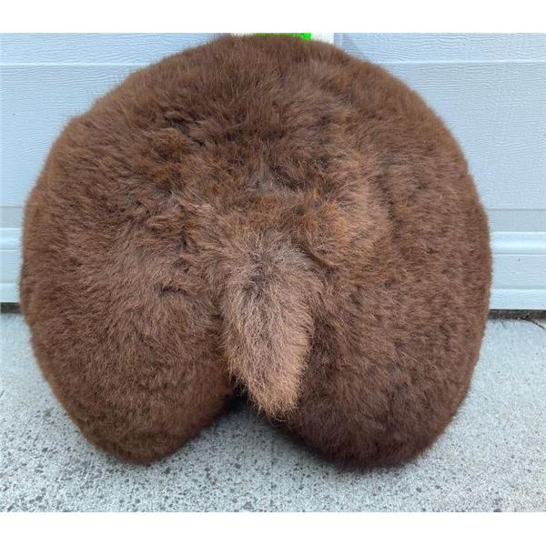 *New* BUFFALO BUTT with a Short Tail