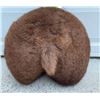 Image 1 : *New* BUFFALO BUTT with a Short Tail