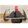 Image 9 : BLACK WILDEBEEST Shoulder Mount