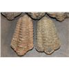 Image 4 : (5) TRILOBITE Fossils from Morocco (ONE$)