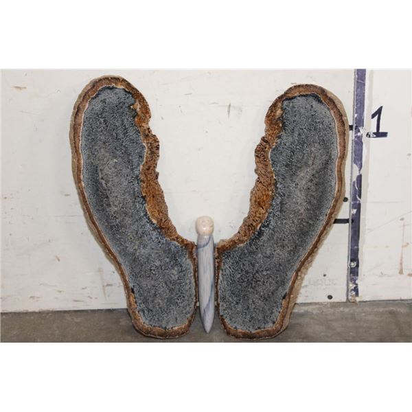 Large Petrified PALM WOOD Butterfly