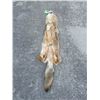 Image 5 : XXL *New* HEAVY Fur COYOTE Hide. All parts for a Mount