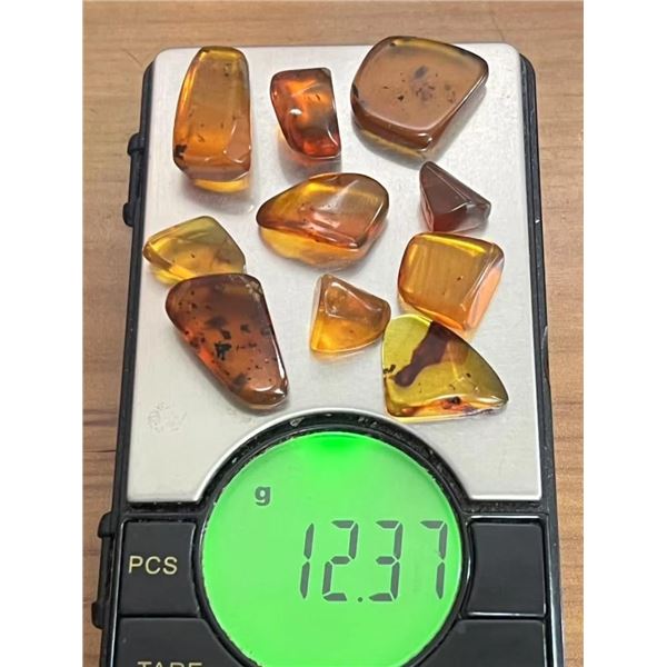 (10) Pieces of Authentic Myanmar AMBER Fossil Insect Specimens, Weight: 12.37 grams (ONE$)