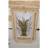 Image 4 : TIGER LOBSTER Encased in a Wood and Glass Shadow Box