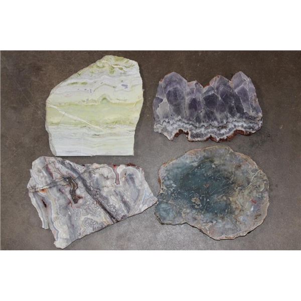 (4) Mineral Slices-ONYX, AMETHYST, AGATE, and PETRIFIED WOOD (ONE$)