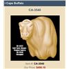 Image 5 : XXL CAPE BUFFALO Mannequin or Form for a Taxidermy Shoulder Mount
