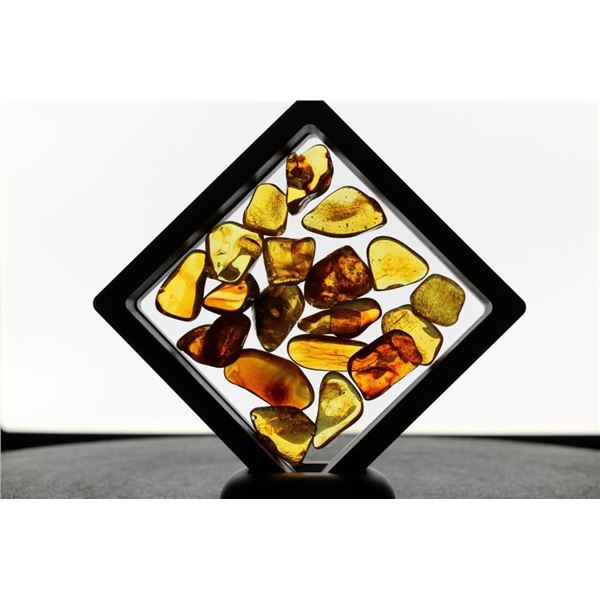 (20) Pieces of Authentic "Baltic Gold" AMBER Fossil Gemstones (ONE$)