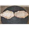 Image 1 : (2) Polished PETRIFIED WOOD Slices from Indonesia (ONE$)