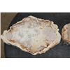 Image 3 : (2) Polished PETRIFIED WOOD Slices from Indonesia (ONE$)