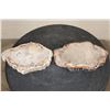 Image 6 : (2) Polished PETRIFIED WOOD Slices from Indonesia (ONE$)