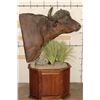 Image 10 : CAPE BUFFALO on a Wood Pedestal with Wheels