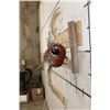 Image 7 : Life-sized Flying RING NECK PHEASANT on a Wooden Wall Hanger
