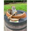 Image 2 : *New* PINE SQUIRREL Mounted in a Canoe