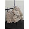 Image 2 : Stunning "DESERT ROSE GYPSUM" or Selenite Crystal Formation Cluster, Weight: 7lbs 1oz