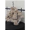 Image 3 : Stunning "DESERT ROSE GYPSUM" or Selenite Crystal Formation Cluster, Weight: 7lbs 1oz