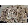 Image 4 : Stunning "DESERT ROSE GYPSUM" or Selenite Crystal Formation Cluster, Weight: 7lbs 1oz