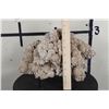 Image 5 : Stunning "DESERT ROSE GYPSUM" or Selenite Crystal Formation Cluster, Weight: 7lbs 1oz