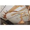 Image 9 : Big 26-Point CARIBOU Skull on a Driftwood Wall Hanger