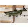 Image 1 : Real Skin KING SALMON Fish Mounted on Driftwood