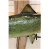 Image 6 : Real Skin KING SALMON Fish Mounted on Driftwood