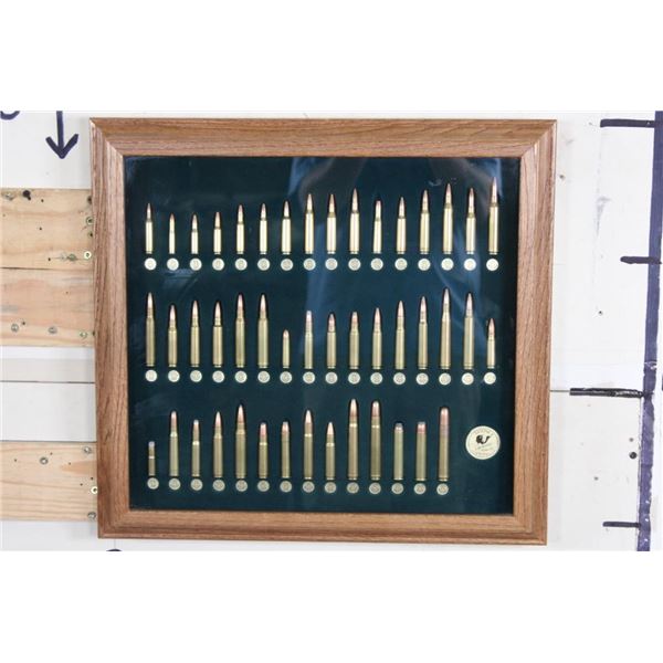 Tatonka Cartridge Display in a Glass and Wood Shadowbox Frame