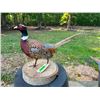 Image 1 : Life-sized Ring-necked PHEASANT Mounted on a Wood Slice