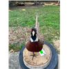 Image 2 : Life-sized Ring-necked PHEASANT Mounted on a Wood Slice