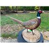 Image 3 : Life-sized Ring-necked PHEASANT Mounted on a Wood Slice