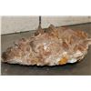 Image 12 : XL 45 lb Honey and Smoky DOGTOOTH CALCITE Crystal Cluster Formation