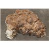 Image 1 : XL 45 lb Honey and Smoky DOGTOOTH CALCITE Crystal Cluster Formation