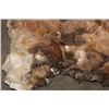 Image 3 : XL 45 lb Honey and Smoky DOGTOOTH CALCITE Crystal Cluster Formation