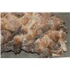Image 4 : XL 45 lb Honey and Smoky DOGTOOTH CALCITE Crystal Cluster Formation