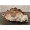 Image 8 : XL 45 lb Honey and Smoky DOGTOOTH CALCITE Crystal Cluster Formation