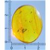 Image 8 : Big 19.15 ct Authentic Myanmar AMBER Fossil Specimen with Insects and an Enhydro