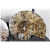 Image 4 : Cut and Polished Agatized AMMONITE FOSSIL from Madagascar with a Display Stand