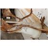 Image 11 : 33-Point Double Shovel CARIBOU Shoulder Mount on a Driftwood Wall Hanger