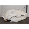Image 5 : BROWN BEAR Skull with Big Canines and a Removable Jaw