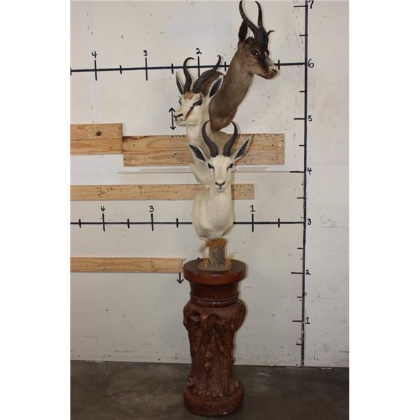 3 SPRINGBOKS on a Decorative Pedestal